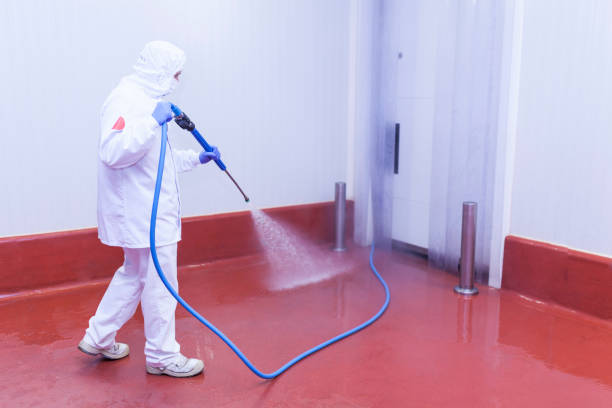 Best Machinery and Equipment Cleaning  in Prophetstown, IL