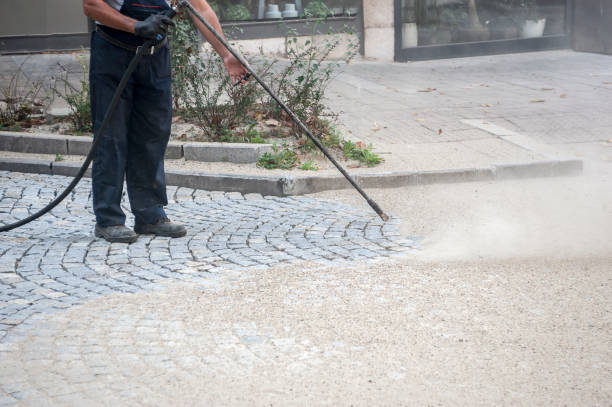 Best Warehouse Cleaning  in Prophetstown, IL
