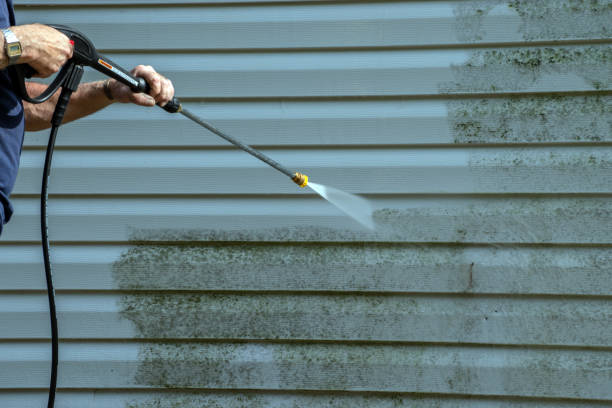 Best Gutter Cleaning  in Prophetstown, IL
